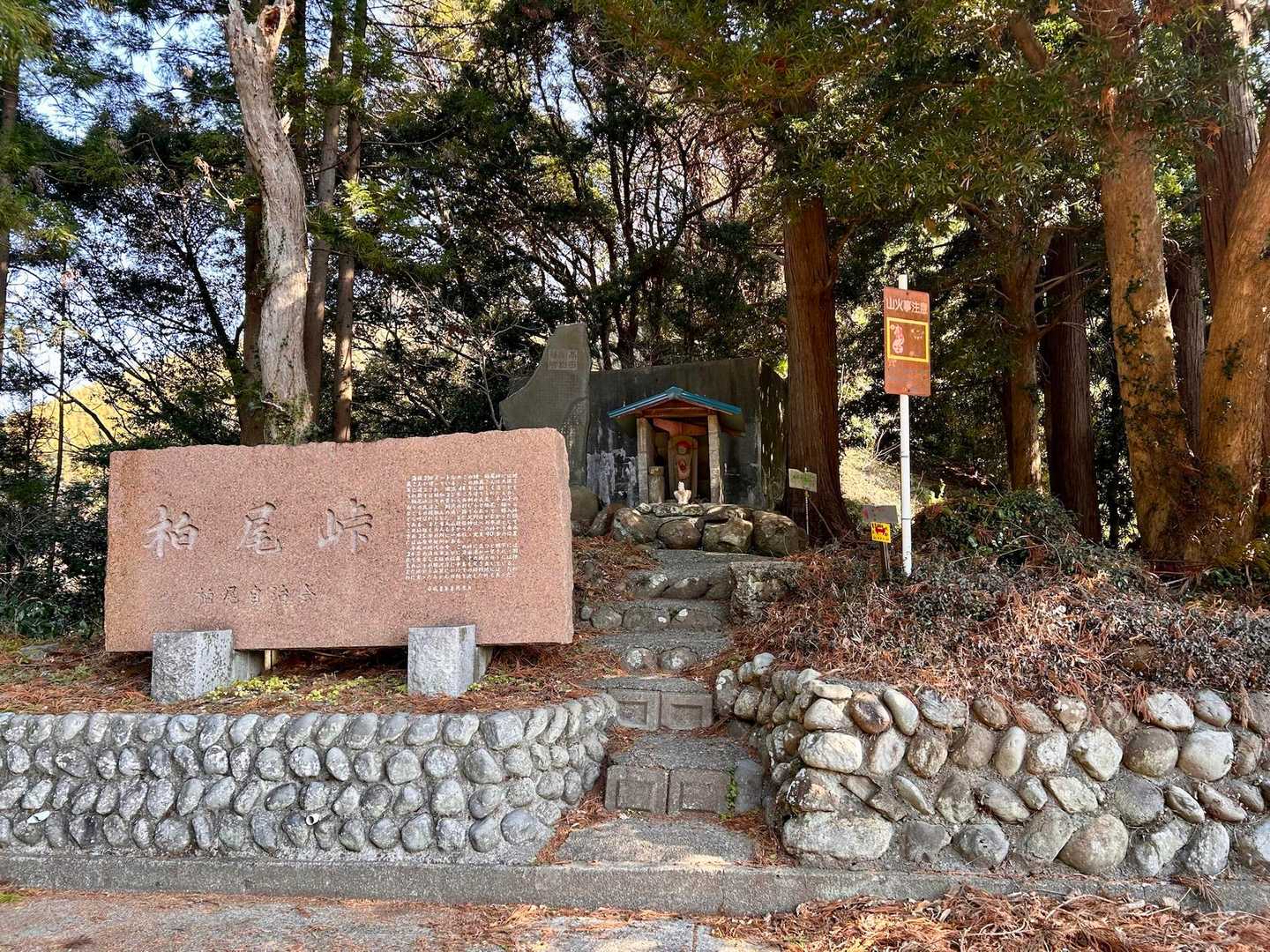 柏尾峠までで折返し💦
久しぶりに山歩いた😅