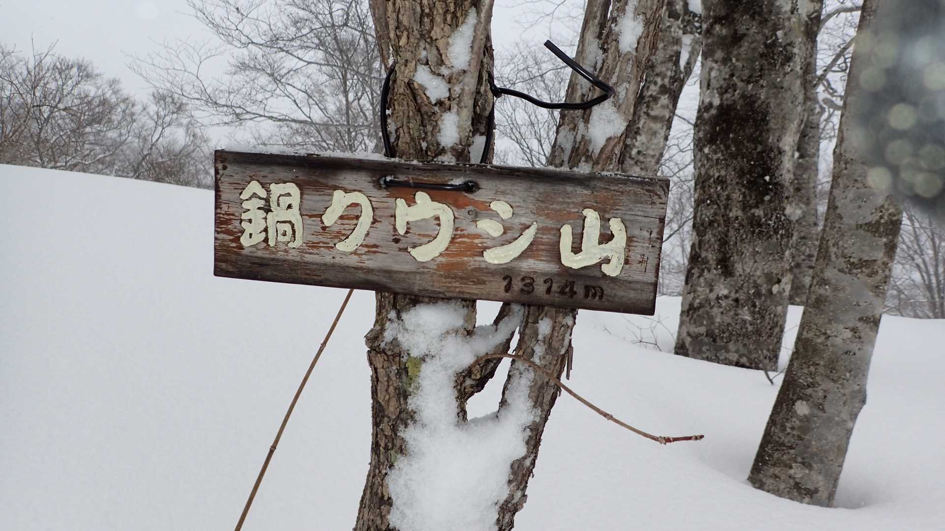 登りでは気が付かなかったので

撤退でしたがいい経験になりました。
いつかリベンジかな😄