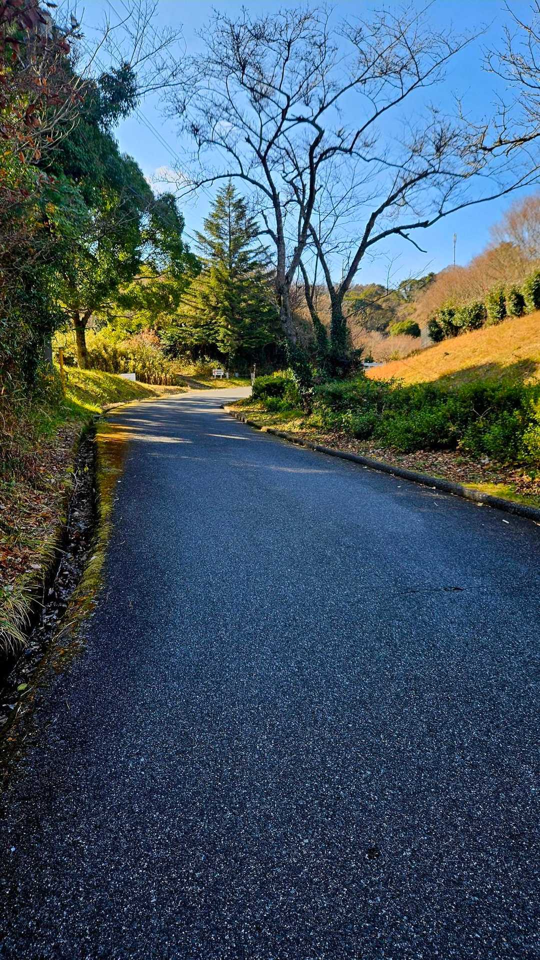 銭壷山-霧峯神社-大将軍山 縦走コースの写真