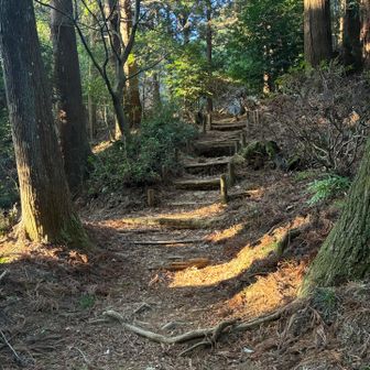 これより山道です