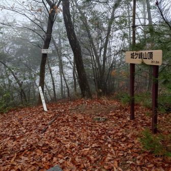 城ヶ峰
やっとかめッス😉