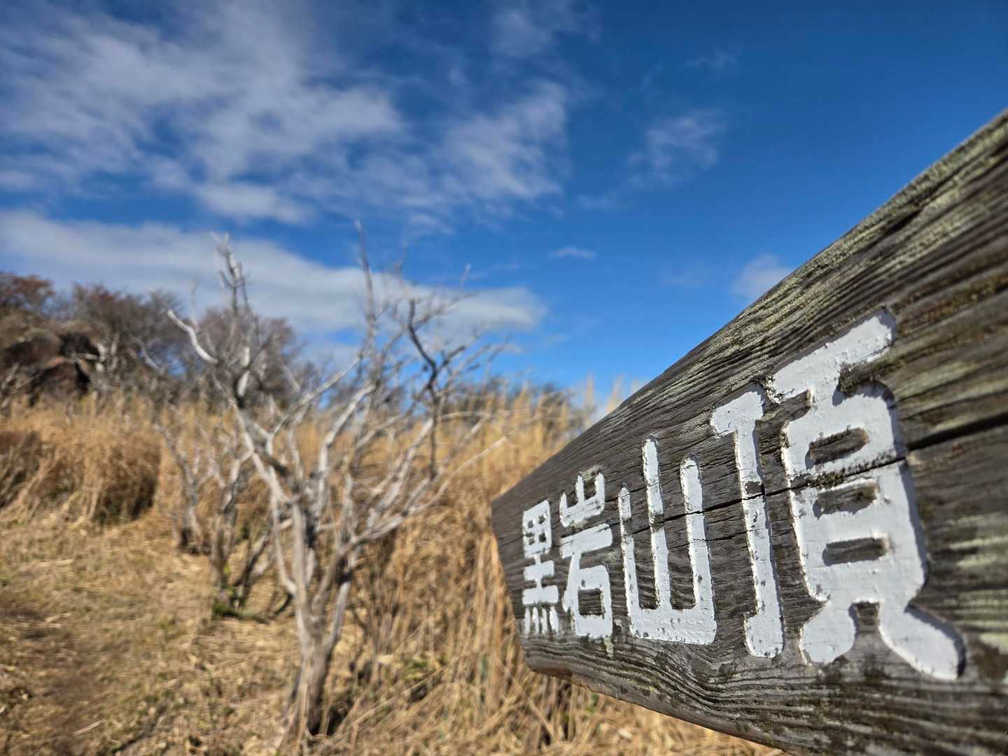 目指すよ✊