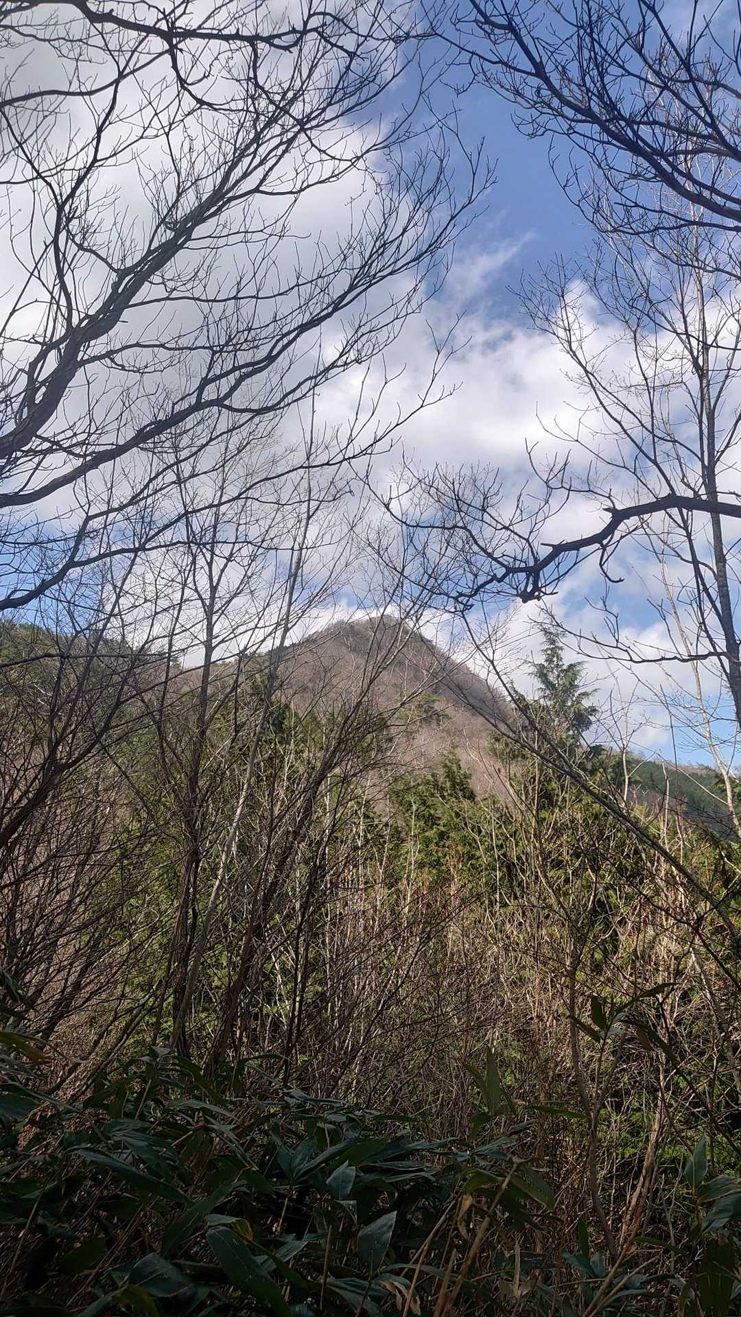 莇ヶ岳 周回コースの写真