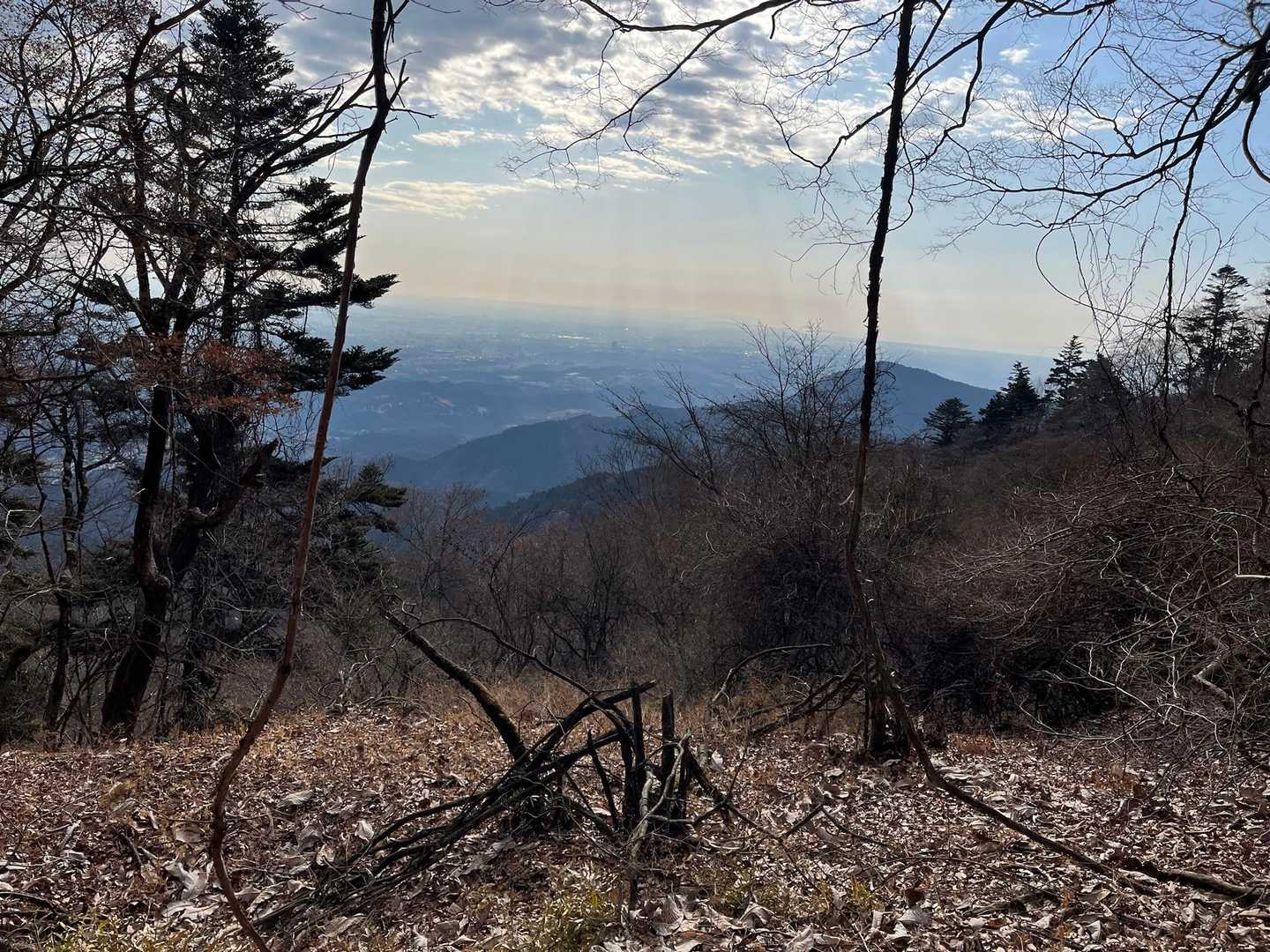 土山峠バス停-辺室山-物見峠-三峰山-唐沢峠-矢草ノ頭-大 縦走コースの写真