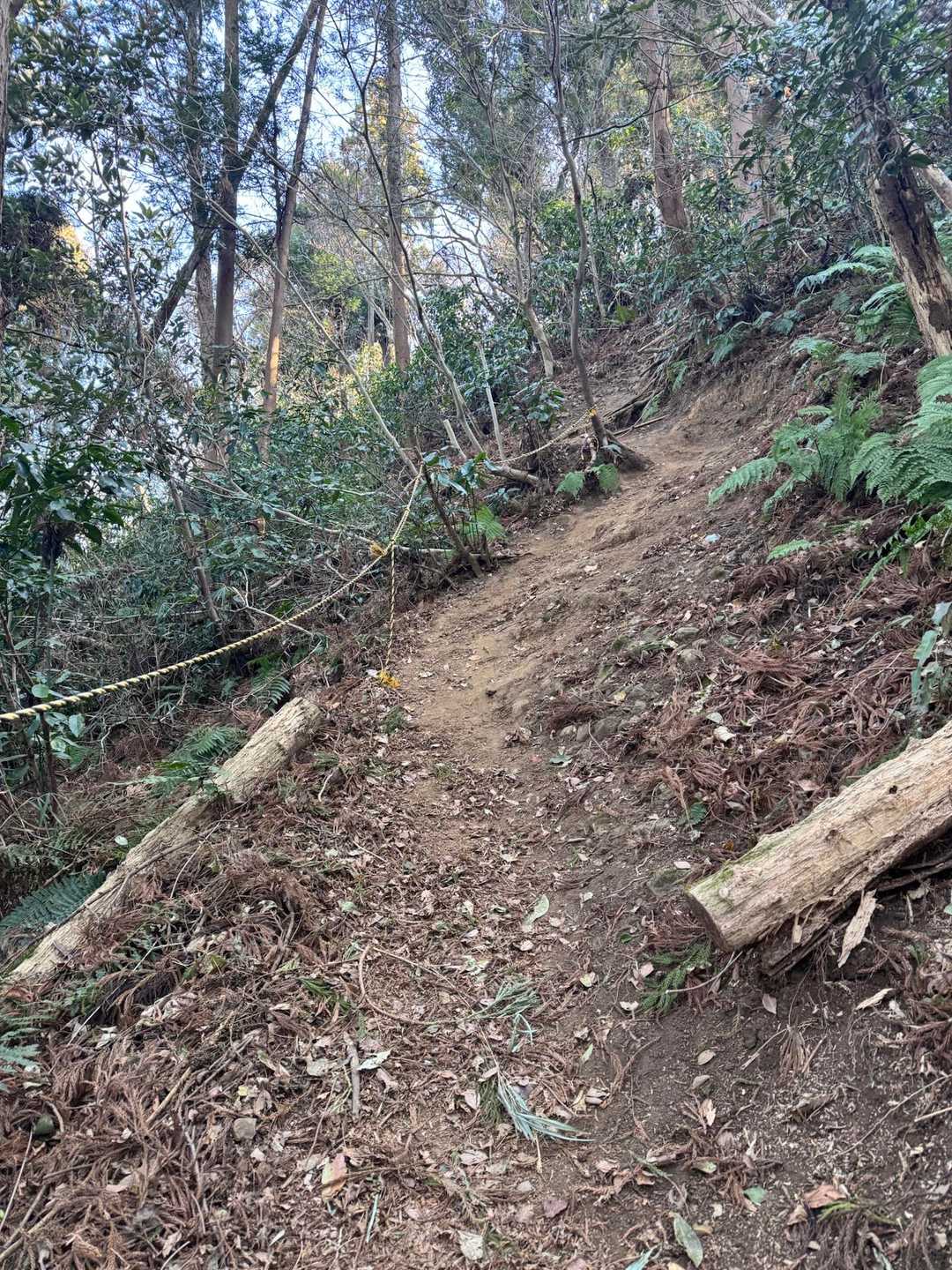 ロープの場所いくつか
土が乾燥して地面がザレザレ