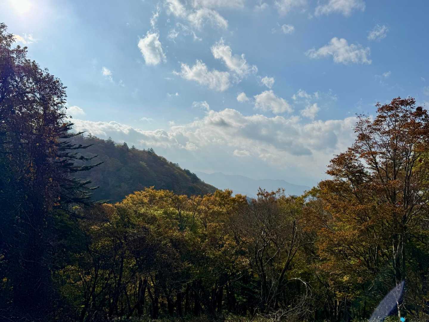 天気は上々🌤️
