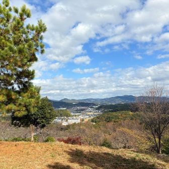 天神山への手前で急に開けてビューポイント✨