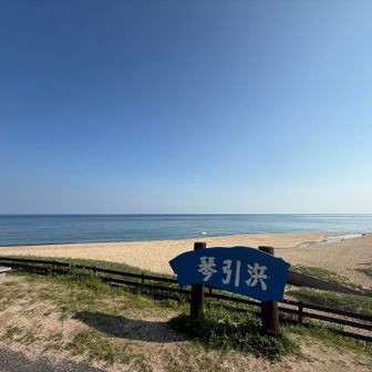 琴引浜デカい