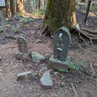 ビリ堂にも馬頭観音が。