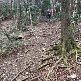 結構急登₍₍ (ง ˘ω˘ )ว ⁾⁾　