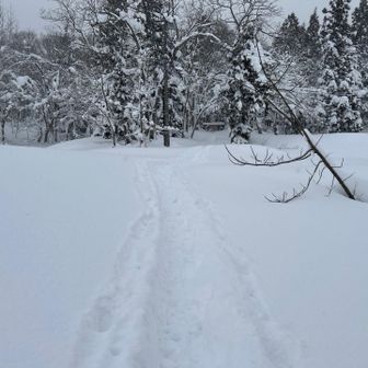 なんとトレースが！