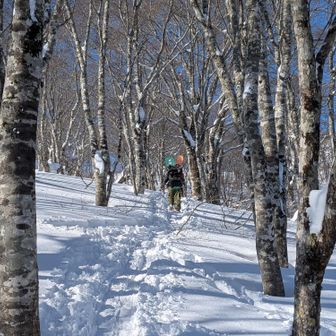 前方にBCの若者が
