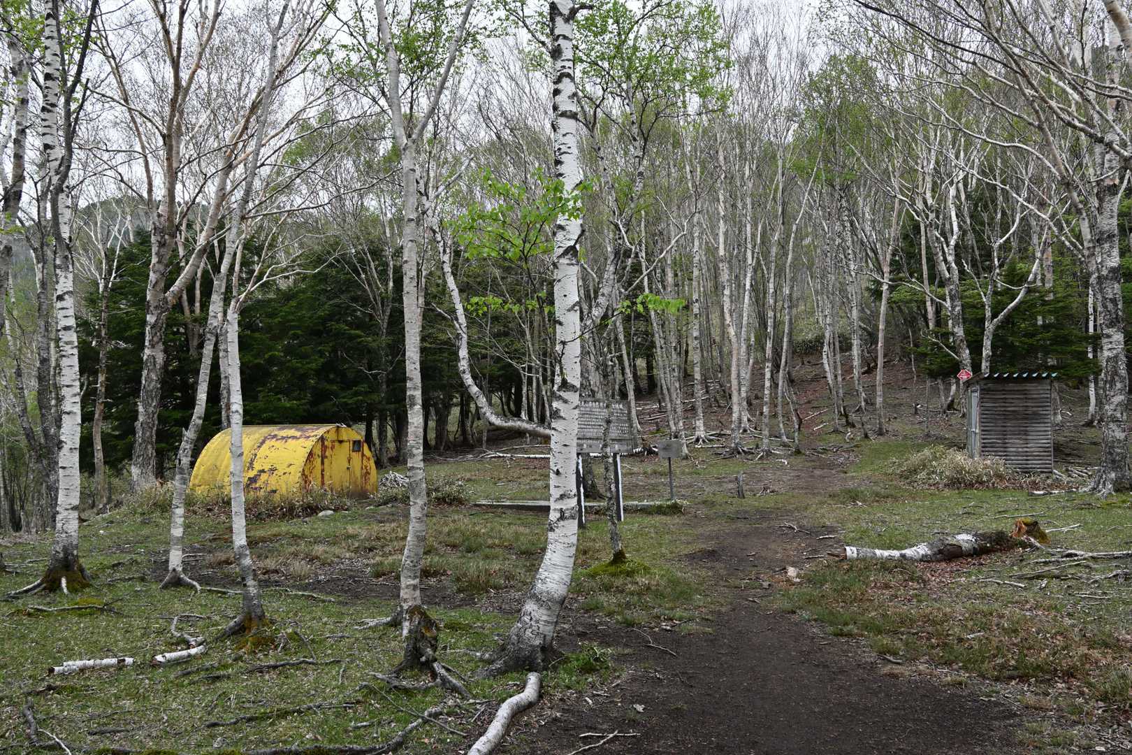 前袈裟丸山 往復コースの写真