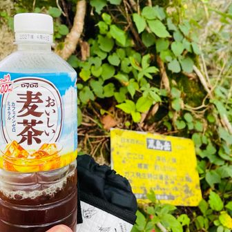 お茶は1.5L持ってきて、あとこれだけ😭
帰ろうかどうする？
まだ、深谷の頭だよ。