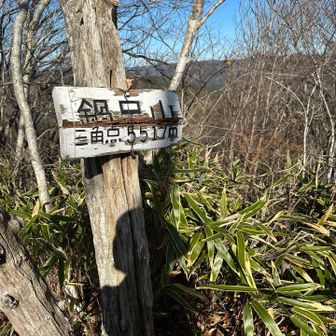 552m峰に着きました。うん⁉️鍋足山と表示されています。地元の人には、ここが鍋足山なんでしょうか。でもYAMAPでは、まだまだずっと先です。