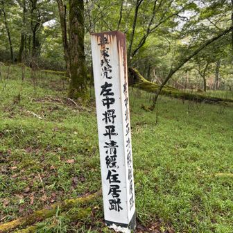 こんなとこに住んでたなんて信じられない🧑‍🦲
