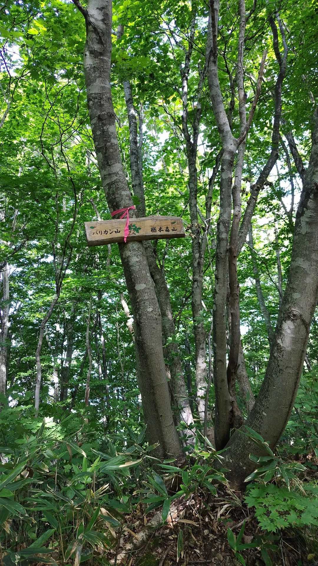 途中の標識