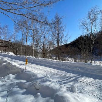 ロードに合流。

こんなに天気が良いのなら、もう少し早く来て西尾根周りで下山したかった。