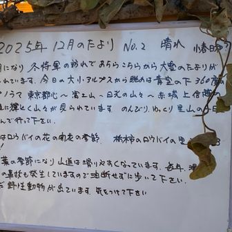 素晴らしい👏
手書きでの旬のニュースを掲示してくださっています。
蝋梅の里にもいかなくちゃ💕