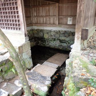 「桐原水 (ｷﾘﾊﾗｽｲ)」

「宇治七名水」のうち現存する
唯一の湧水
手水舎として手を清めることが
できます🙌