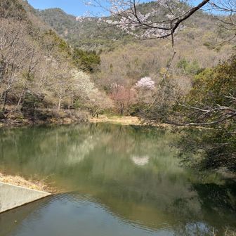 若干💦🌸リフレクション✨