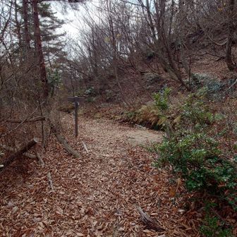 無事合流しました。
多分ショートカット出来たと思います😅