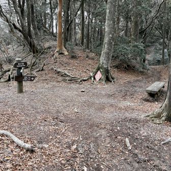 滑沢峠
平なスペースとベンチあり