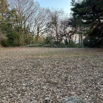 広場に戻って来ました