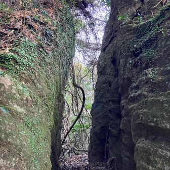 これが割れ岩でしょうか