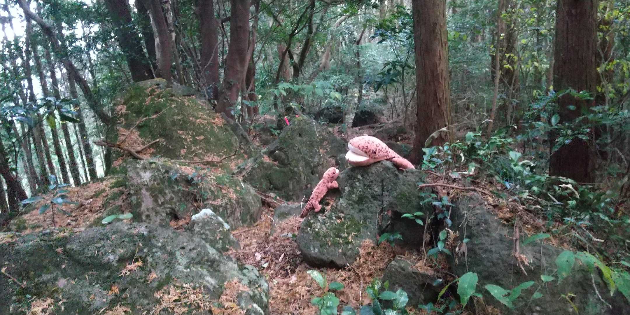 🪨少々