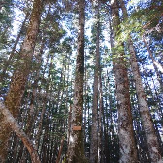 小さな空間でしたが癒されました✨感謝🙏
希望峰まで興味はありましたが、今日の体調では無理は禁物。また次回のおたのしみに取っておきます。