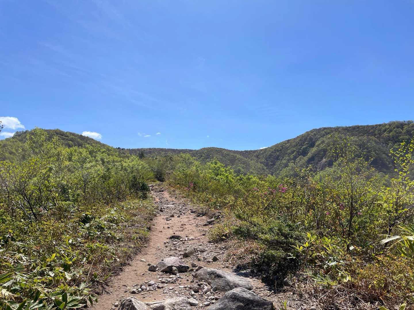 左にこつぶり山、右に取立山。
稜線歩きとっても気持ちいいのだけど、暑い🥵