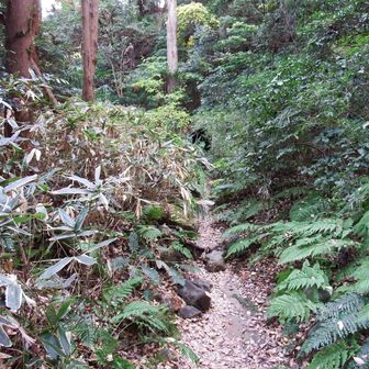 先に見えるところでしょうか。