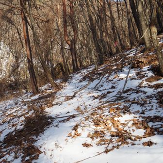 斜面のピンテを目標すると直登になるので九十九折になるようにピンテを付け直したい😅
