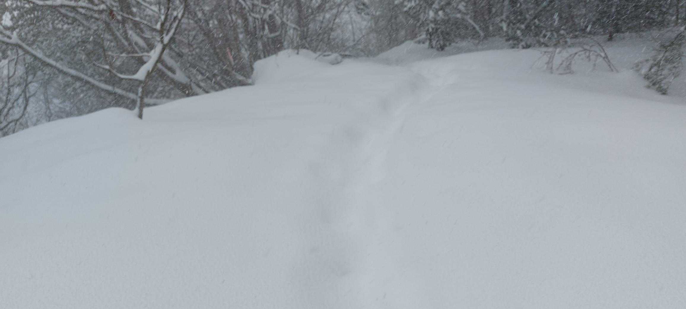雪が降り積もって午前中歩いたトレースは、埋まっている