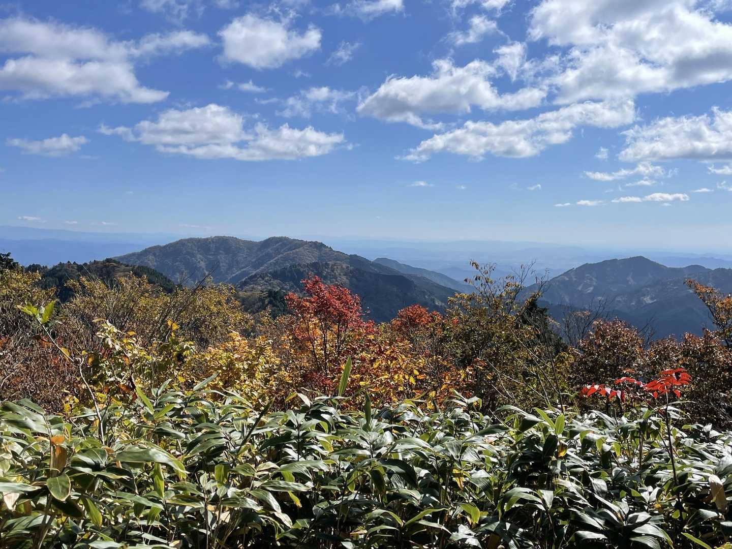 南側には瓢ヶ岳👆
