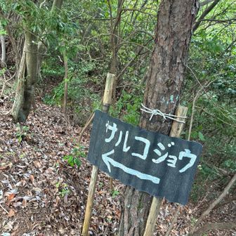一石さんと合流し、猿子城山から、奥槇尾山（迂回したけど）から下山です