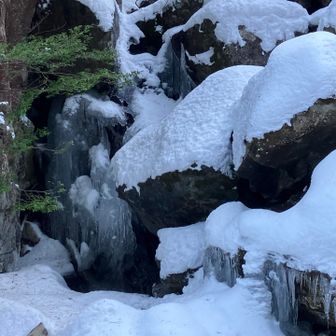 しぶき氷を見ながら戻り