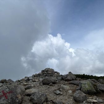 浄土山山頂
けど、看板がないのでわかりにくい