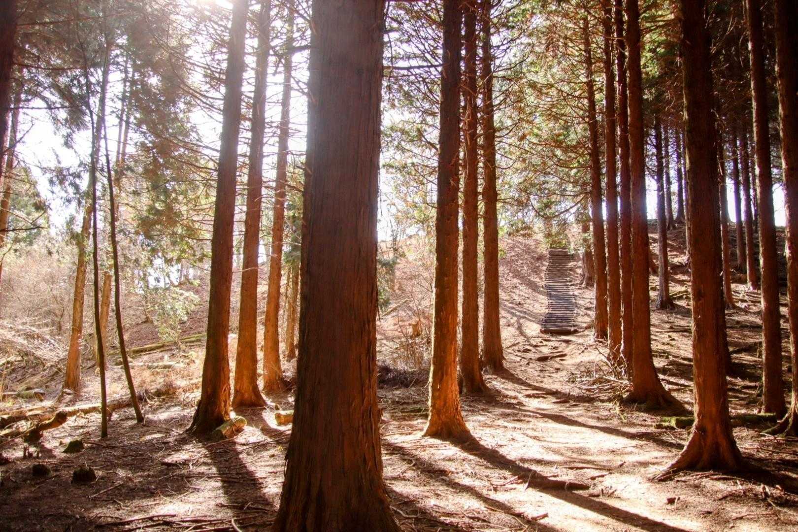 またまた階段が見えます・・・
今年の階段納めとして頑張ります💪