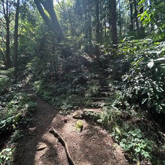 泰光寺山へ右に登ります