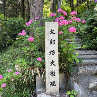 この上が　景色いい