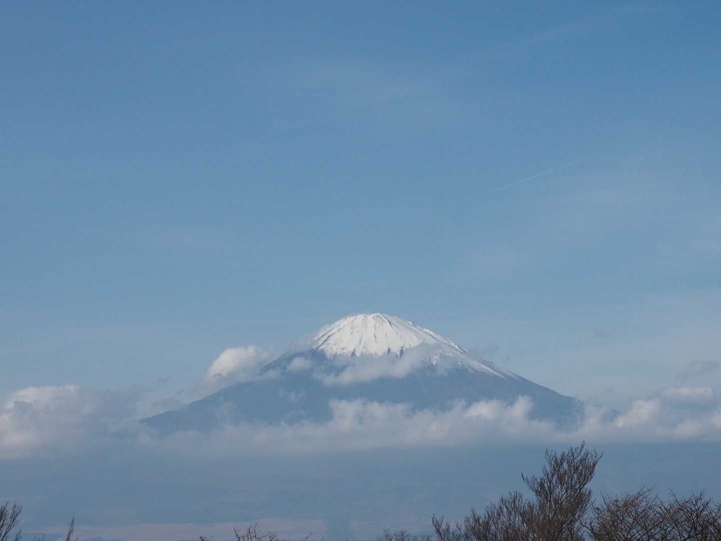 おおー
