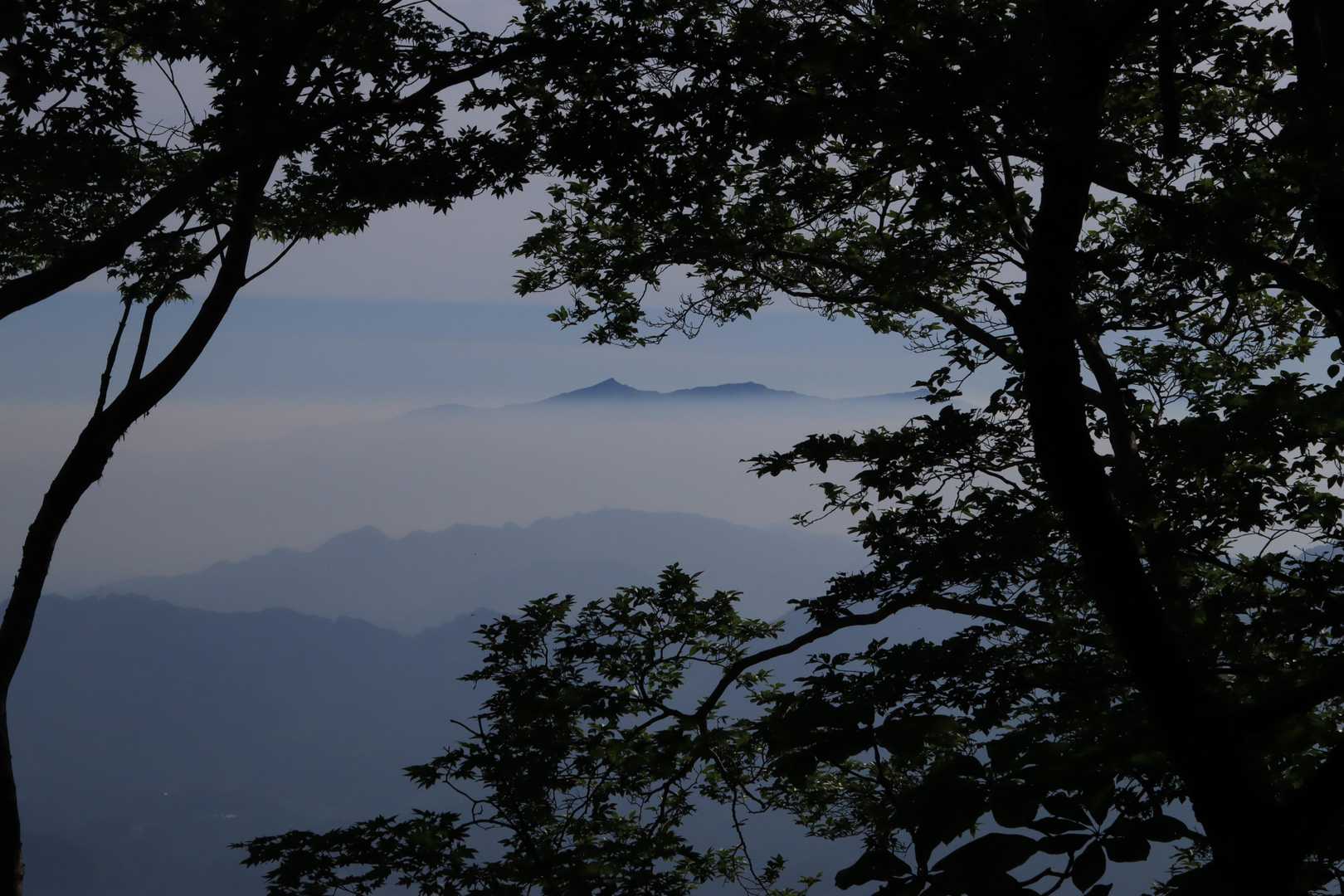 木々の額縁に眺望が素晴らしい😊