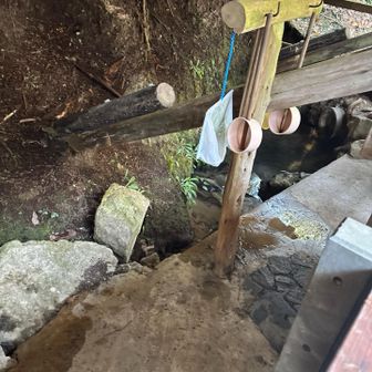 で、変わったもんあった！

湧水やて