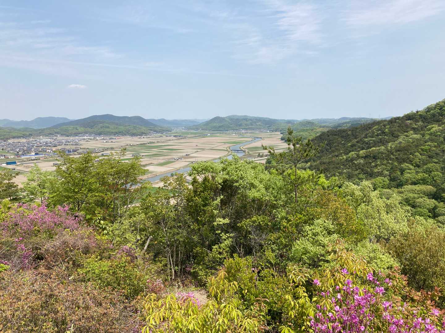 大雄山-雄久峠-雄久山-長谷峠-ダンガメ山-松山 周回コースの写真