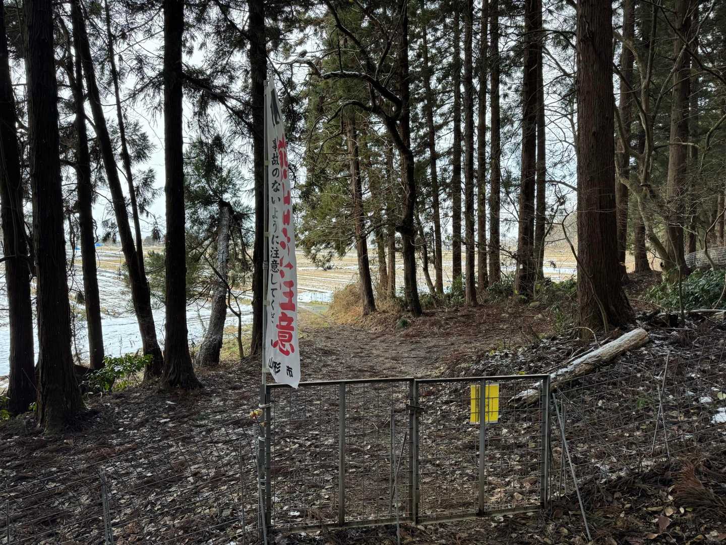 ゴール