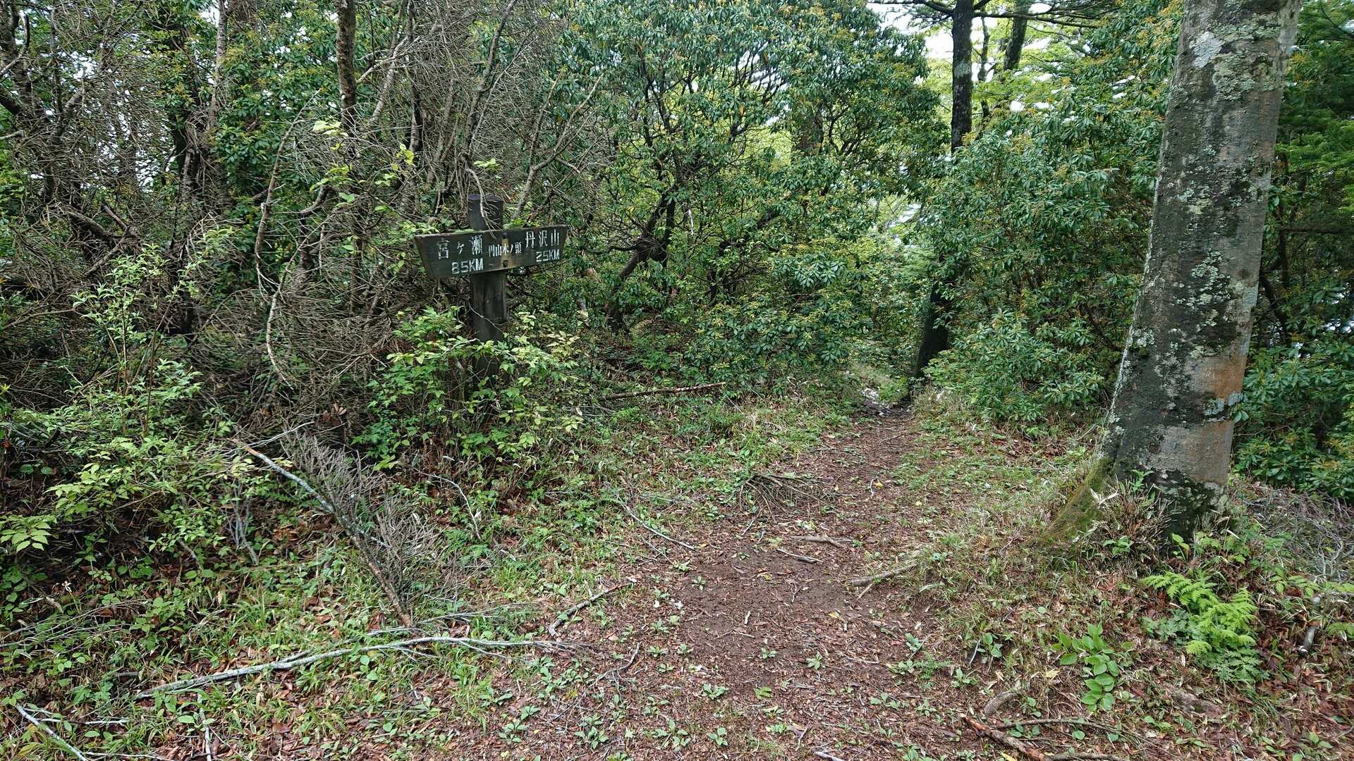 中峰（円山木ノ頭）の写真