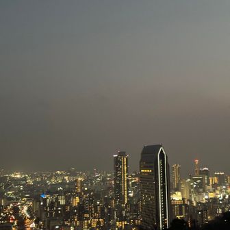すっかり日が沈み神戸の夜景が🌉笑