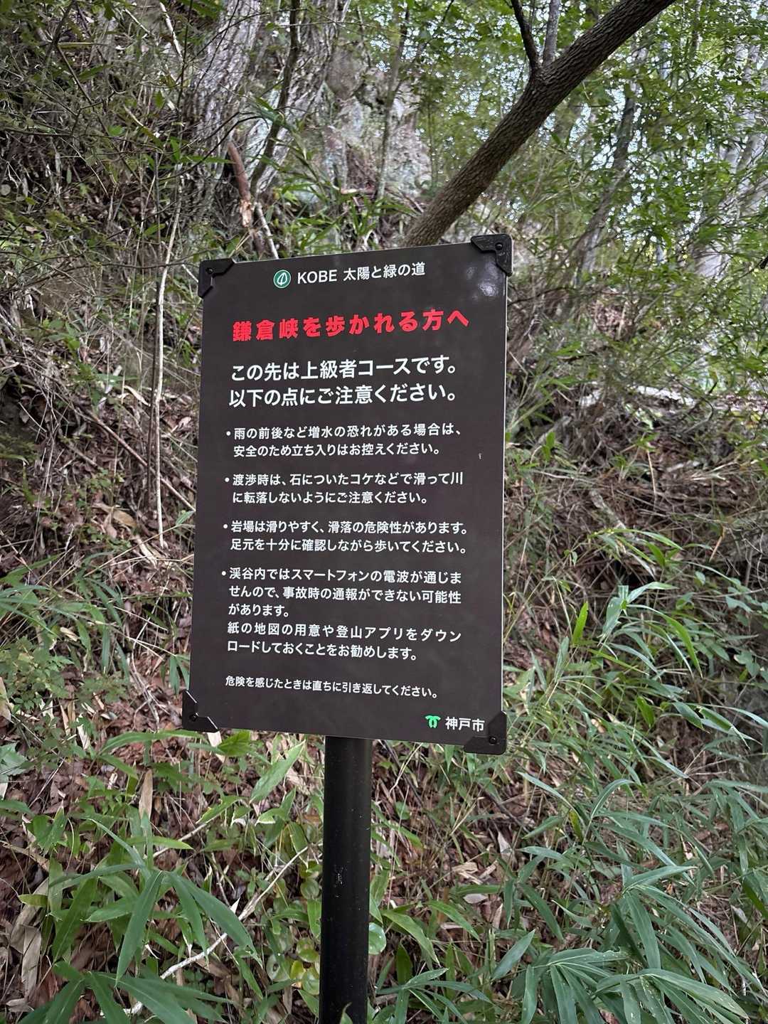 怖いこと書いてるけど
もう戻る勇気も無い・・